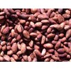 dry cocoa bean