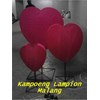 lampion hati