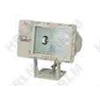 flood light bfd92 explosion-proof