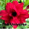triple universe