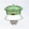 explosion-proof lampu gantung mercury