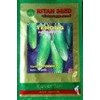 benih terong var. palapa pj ritan seed