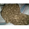 jahe emprit kering