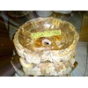 petrified sink