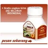 kapsul tongkat ali