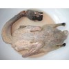 bebek