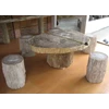 petrified wood table slab