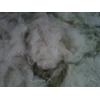 kapas majun wol acrylic pure white