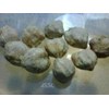 buah kemiri / cadlenut
