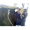 repair radiator hd785-5