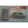 usb/ sd memory module