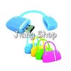 flash disk lady bag