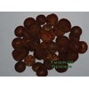 areca catechu