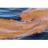 oil spill