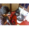 cara cuci helm