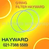 oring filter hayward