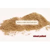 pollard gandum ( brend/ wheat pollard) pakan ternak-1