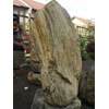 fosil kayu # 001#