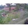 wisata alam