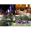 even organizer
