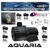 resun sea lion asynchronous water pump pg series-5