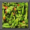 cabe rawit hijau