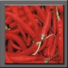 cabe merah
