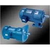 tpg gear motor, vibrator motor, small gear motor