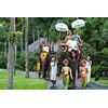 taman safari bali