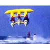 flying fish