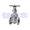gate valve