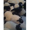 shaun the sheep