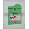 pp city broom