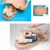 abdominal palpation model for leopold maneuvers he-79820