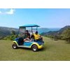 patrev golfo ( 2 seats)-3