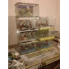 aquarium 55cmx25cmx25cm