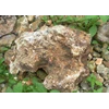 batu bahan sarang tawon ( 012)