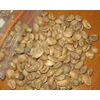 robusta bengkulu