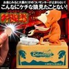choenbako coin bank