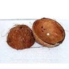 batok kelapa