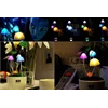 lampu avatar