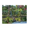 outdoor vertical garden dan landscape