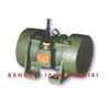 motor vibrator