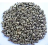 butuh supply kopi arabica