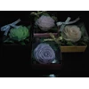 souvenir siap antar