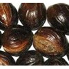 nutmeg with shell