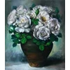 white rose flower
