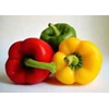 paprika merah, kuning, dan hijau