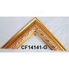 cf 14141-g