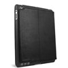 ifrogz for ipad 2